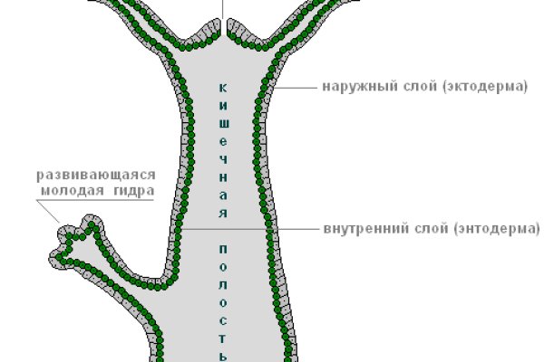 Kraken zerkalo официальный сайт